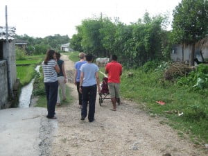 Going for a wander
